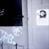Richard Wells:Che, Bern 1998