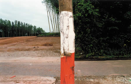 image from the exhibition m6 toll road; © John Hodgett
