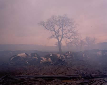 image from the exhibition the abyss; © Clive Landen